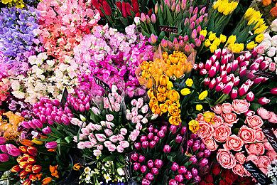 EA《麦登橄榄球25》配置公布 内置D加密